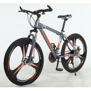 Spoked Wheel 29 Inch Mountain Bike Bicycle for OEM Cycle and Integral Wheel