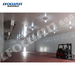10-15cm Panel Thickness Walk-In Cooled Storage Blast Freezer Unit Discount