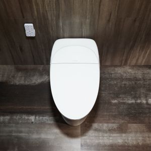 Women Modern Smart Toilet Electric Automatic Flush Intelligent Closet WC