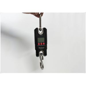 Quality Multi Units Conversion Electronic Crane Scale With Overload Protective System for sale