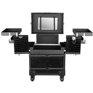 Professional aluminum makeup beauty case