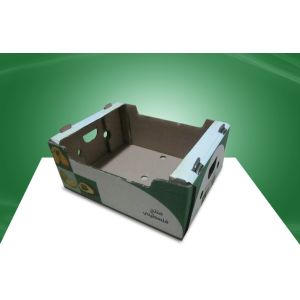 Corrugated Carton Packaging Boxes