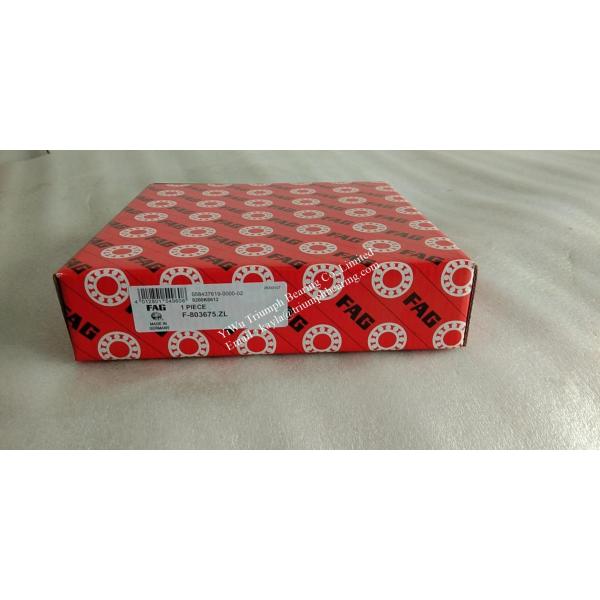 Buy Cylindrical Roller bearing   F-803675.ZL    FAG (Germany ) at wholesale prices