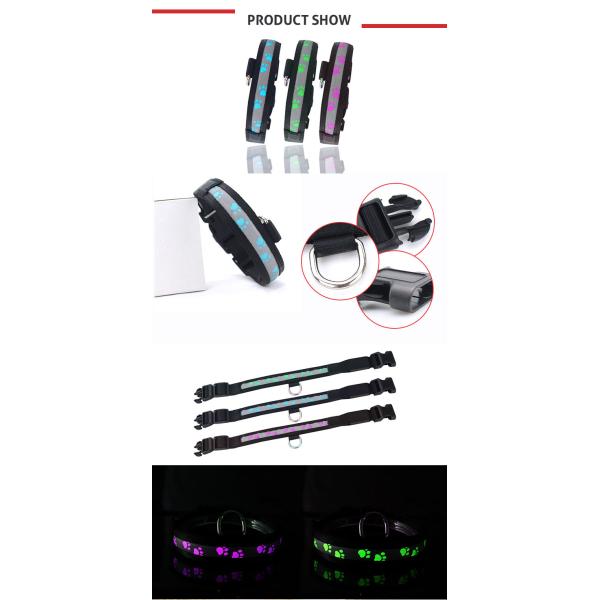 Outdoor Walking LED Dog Collar Waterproof Glow In The Dark Dog Collar