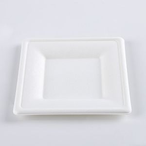 6" Natural Disposable Plates Sugarcane Bagasse Containers Compostable Paper