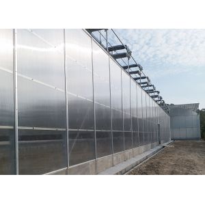 IGreen Polycarbonate Greenhouse Panels for Flowers and Vegetables Customized