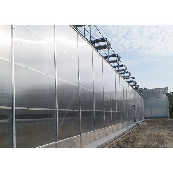 IGreen Polycarbonate Greenhouse Panels for Flowers and Vegetables Customized Length
