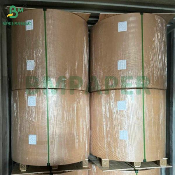 C1S PE Surface 210gsm 230gsm Cup Paper For Drinks Cup Jumbo Roll