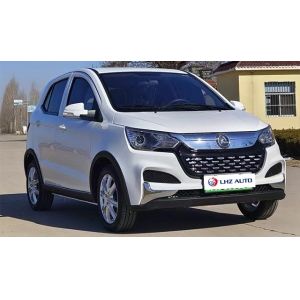 s Top-Selling Four-Wheel Electric Vehicles Max Speed 60 Km/h 100% Electric Car