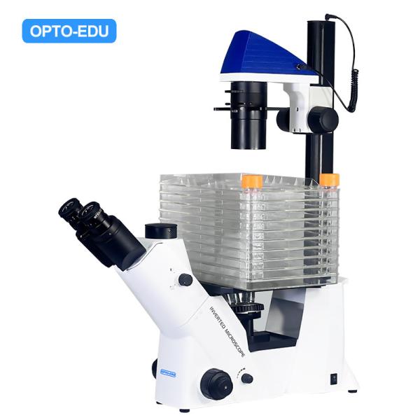 Opto-Edu A14.2604 Inverted Optical Trinocular Phase Contrast Cell Factory