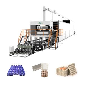 Best Egg Box Making Machine Forming Egg Tray Equipment
