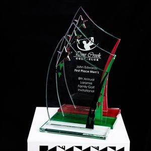 Encourage Souvenir Plastic Crystal Trophy Cup With Laser Engraving