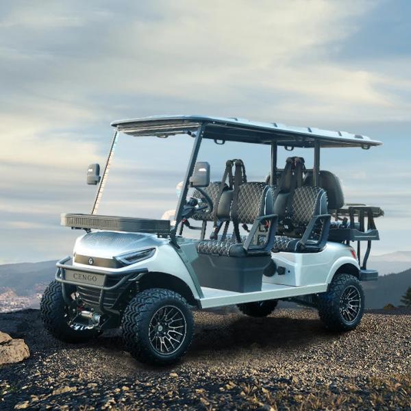 Customizable 6-Seater Off Road Golf Cart with Electric Power and Cargo Box