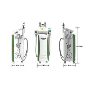 Best Body sculpting cryolipolysis slimming machine with 5 handles for clinic