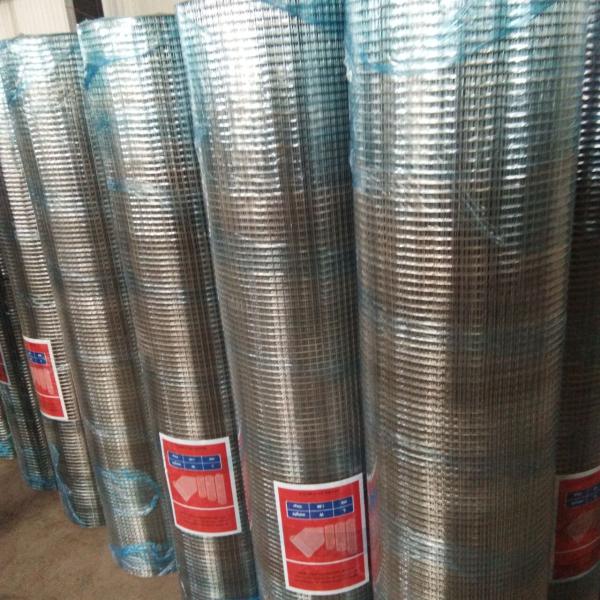 22 Gauge Zinc Coated Welded Wire Mesh For Raising Animals , 0.4 MM - 3MM Diameter