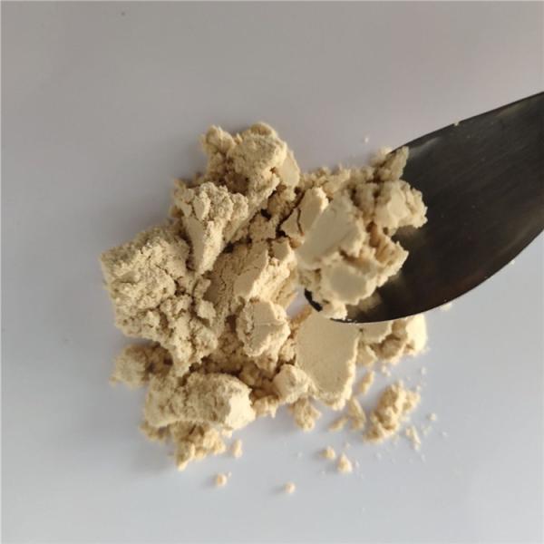 Best Selling Instant Chicory Root Extract In Bulk