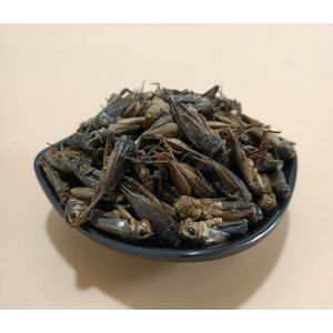 100% Natural Dried Crickets For Pet Food 100% Natural