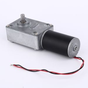 Faradyi Custom 12v 24v Electric Vehicle Brushless Bldc Micro Worm Gear DC Motor