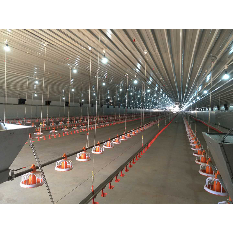 Prefabricated Steel Structure Layer Broiler Chicken Farm Building