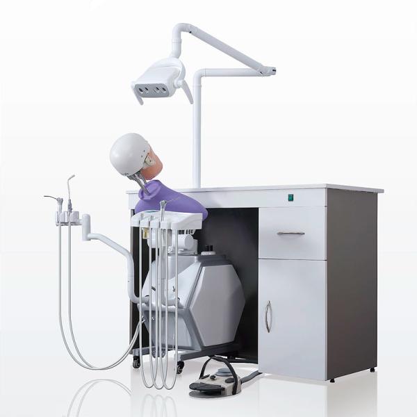 Buy Storable Phantom Head Dental Simulator Unit Multifunctional Removable at wholesale prices