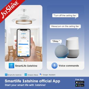 Noiseless OEM Decorative Lighting Ceiling Fan with Dimmable Function and 3