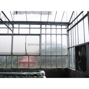 IGREEN Agricultural Venlo Glass Greenhouse to Grow Flowers and Seedlings