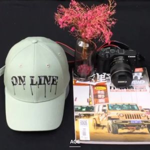 Custom Made Elegant Embroidered Baseball Caps Sun Protection Acylic / Wool