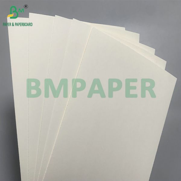 Biodegradable & Microwave Safe Paperboard For Making Disposable Bowls For Salad