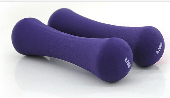 0.5kg 0.75kg 1kg 1.5kg 2kg 3kg Bone Style Colorful Vinyl Dipping Dumbbell for