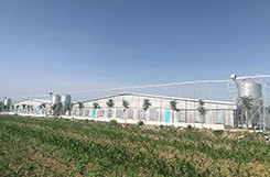 Big Discount Discount Wall Mounted Greenhouse Poultry Farm Exhaust Fan