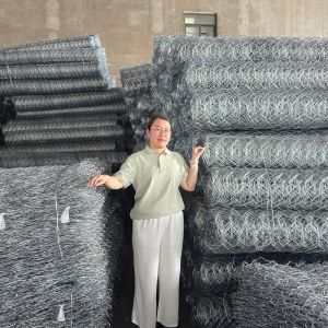 Protect Riverbanks Slopes and Channels with Heavy-Duty Gabion Wire Mesh Wall and