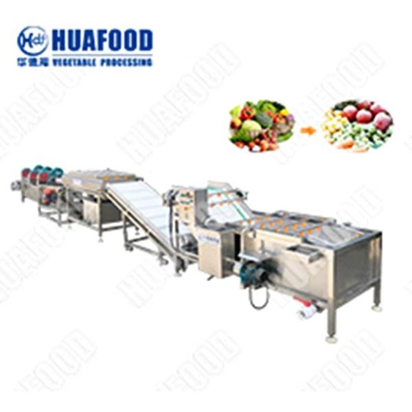 Buy Stainless Steel Food Drying Machine Fresh Root Vegetables Washing Machine at wholesale prices