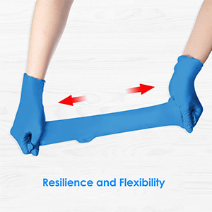 Highly Flexural Characteristic Disposable Nitrile Gloves Powder Free Latex Free