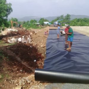 Both Side Smooth/Textured 0.5mm HDPE Geomembrane Liner Sheet for Fish Farming