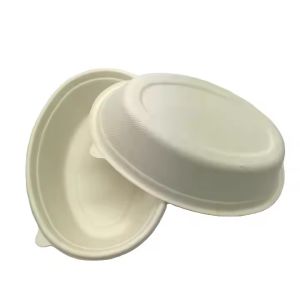 Eco Friendly Sugarcane Disposable Biodegradable Sustainable Microwavable Oval