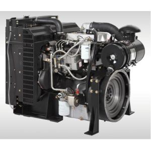 1800rpm Lovol Generator , 1003TG 44KW Diesel Generators