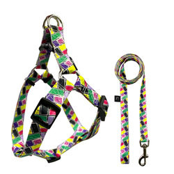 No Pull Dog Harness Set Adjustable Designer Dog Harness Leash Set