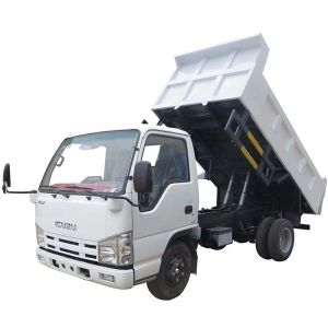 Philippines ISUZU ELF 100P 98HP Euro 4 Diesel Engine Mini 3T 4Tons Dump Truck