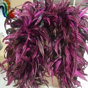 Marabou Feather And Chicken Coque Feather Boa Make Your Event Unforgettable