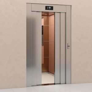 Villa machine roomless fuji 630kg elevator