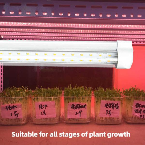 Buy 18W/36W T8 LED Grow Light Tube for Lettuce Mushroom Hydroponic Indoor Growing Stand 70lm/w Efficiency at wholesale prices