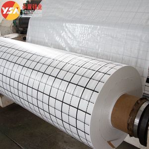 Woven Fabric Printing +PE Extruding Black And White Checkered Printed