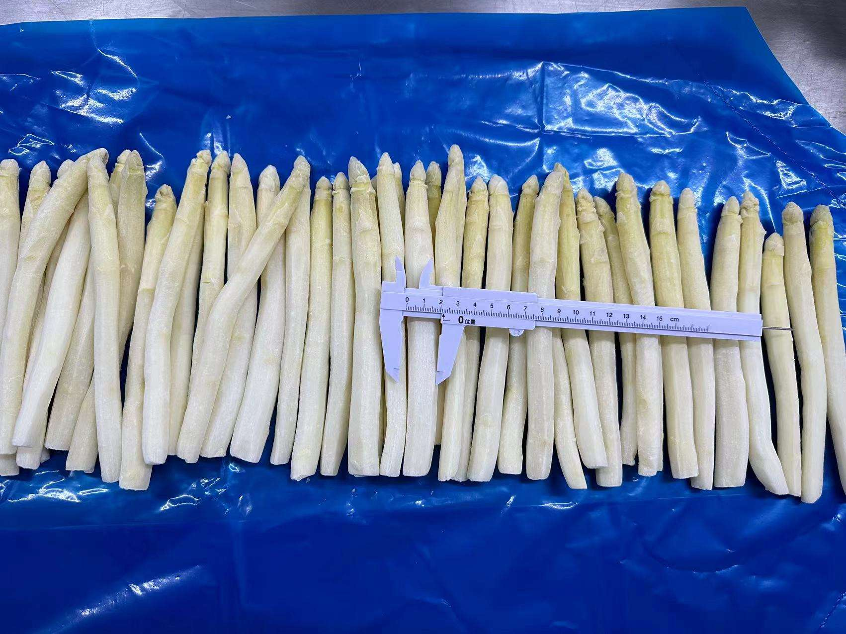 Wholesale IQF Vegetable IQF Frozen White Asparagus Spear From China
