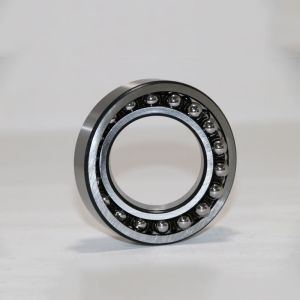 Precision Self Aligning Tapered Roller Bearing 1202 High Quality 15x35x11