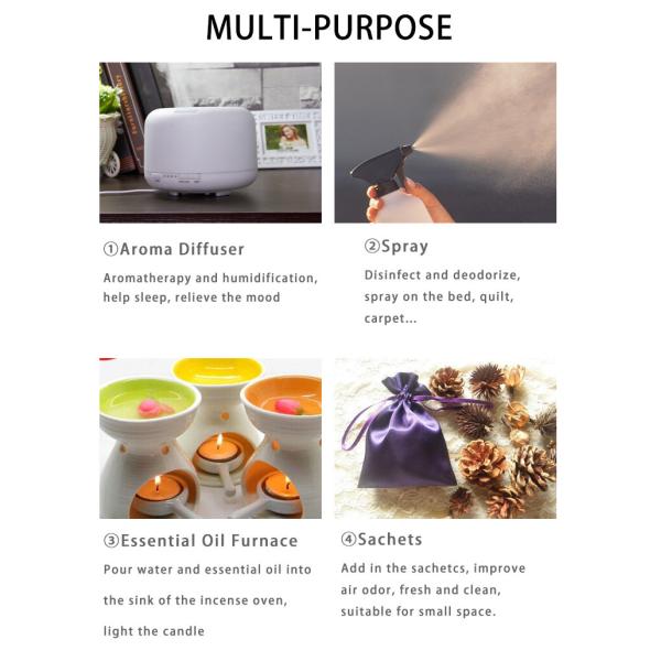 Handcraft 10ml Lavender 100% Pure Plant Essential Oil No Additives