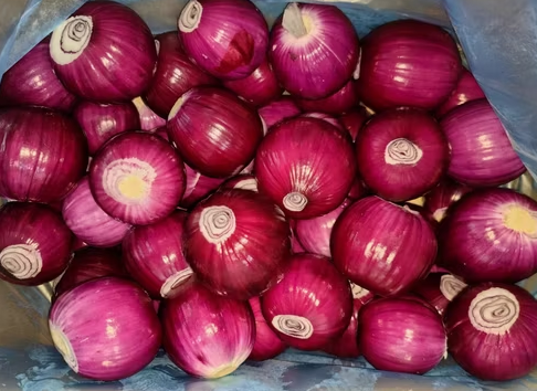 Fresh onion whole for Your Business Round and Packed in Mesh Bags Cartons PVC