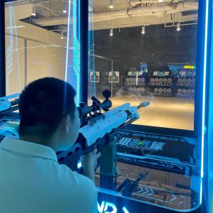Customized Interactive Shooting Game Digital Sport Games Recreation