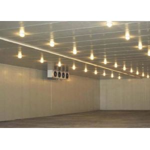 Quality Processing Station Modular Cold Storage Room With Compressor for sale