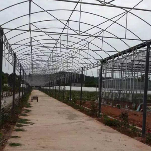 Multispan Plastic Film Greenhouse With Drip Irrigation System Plant Nursery Grow Tent
