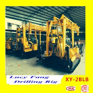 China Hot XY-2BLB Multi-function Mobile Micropile Hole Foundation Engineering